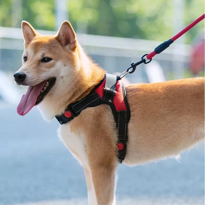 Pet Dog and Cat Adjustable Harness