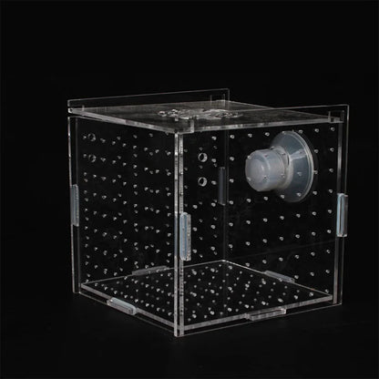 1pc 5Sizes Fish Tank Aquarium Transparent Incubator Breeding Box Single Double Grid Isolation Box Aquatic Pet Breeding Container