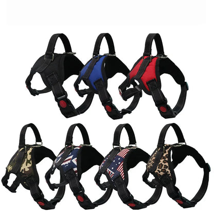 Pet Dog and Cat Adjustable Harness