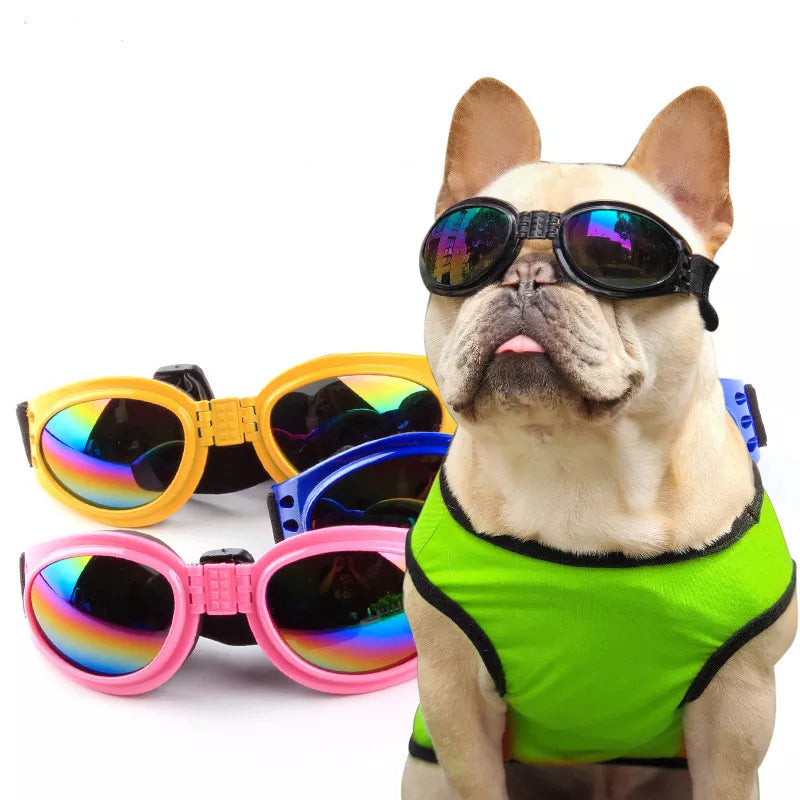 Best Selling Pet Glasses 6 Color Foldable