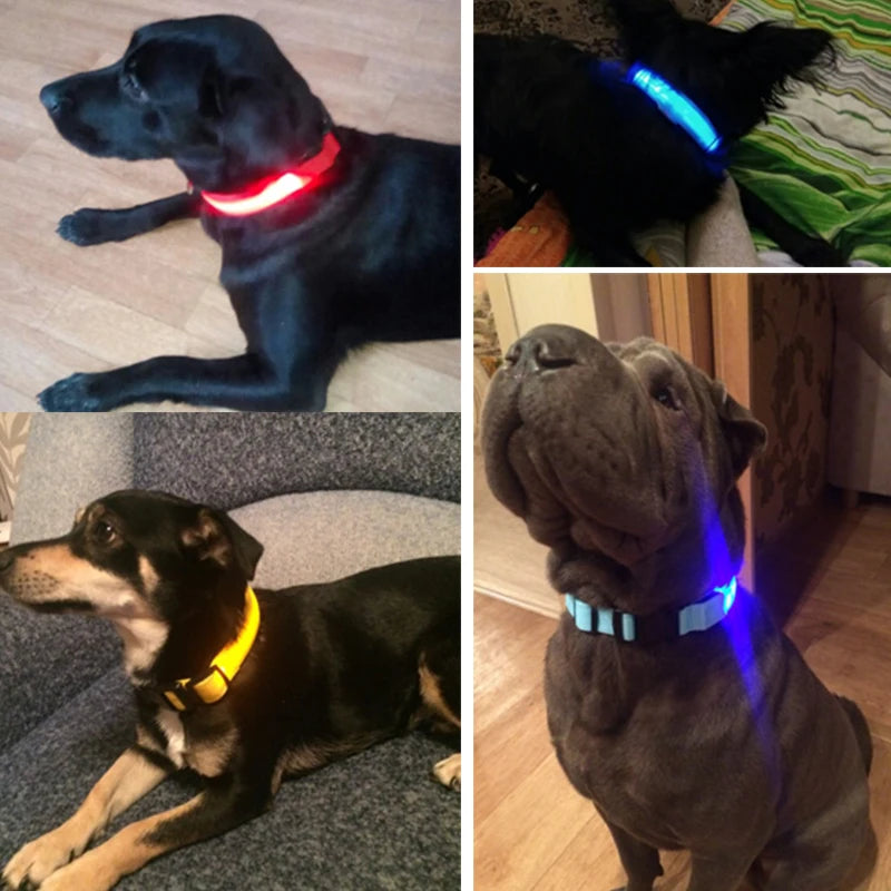 Nylon LED Pet Dog Collars