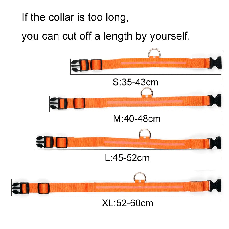 Nylon LED Pet Dog Collars