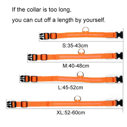 Nylon LED Pet Dog Collars