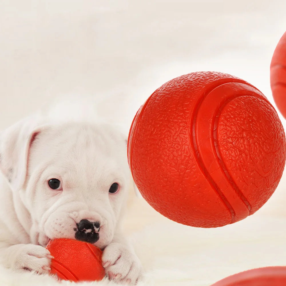 Pet Toy Rubber Ball Bite