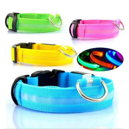 Nylon LED Pet Dog Collars