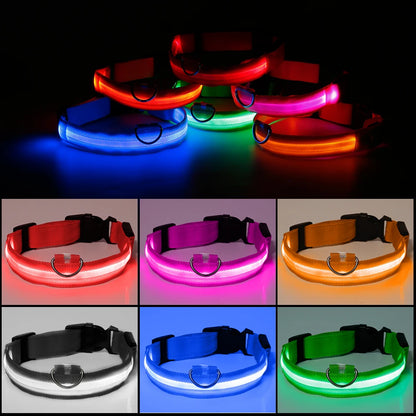 Nylon Pet Dog Collar LED Light Night Safety