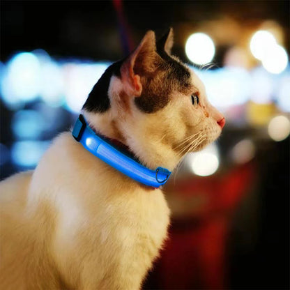 Nylon Pet Dog Collar LED Light Night Safety