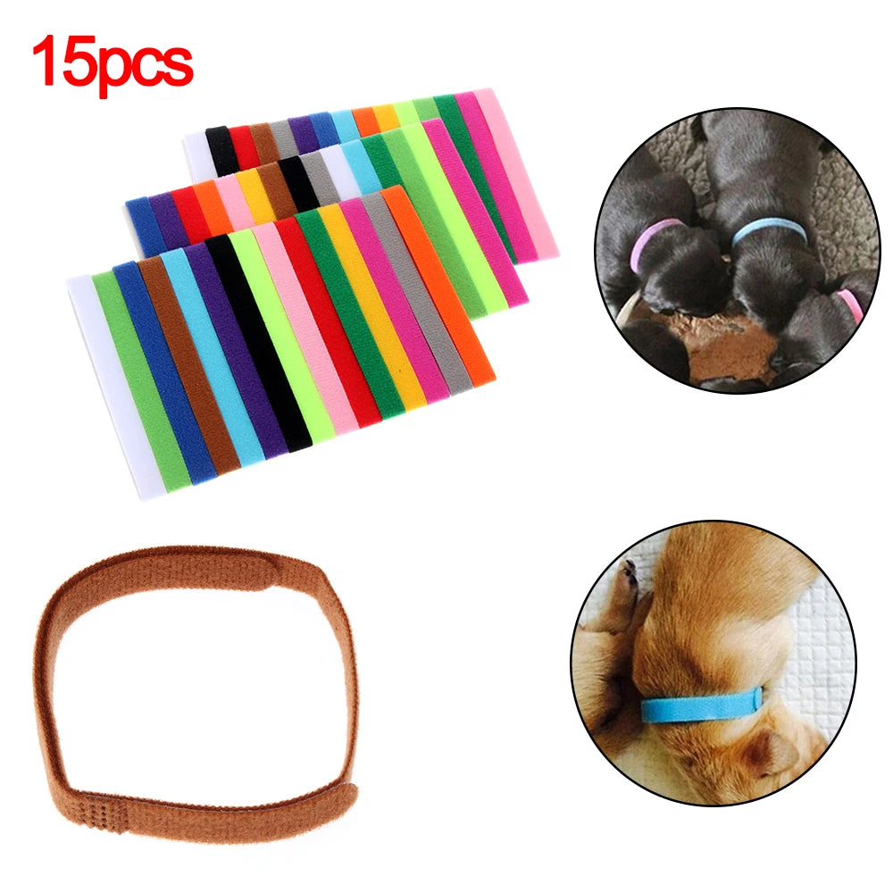 ID Collars Whelp Kitten Dog Cat Velvet Practical Nylon