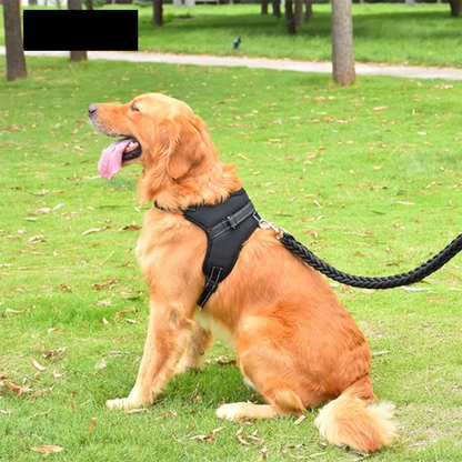 Pet Dog and Cat Adjustable Harness