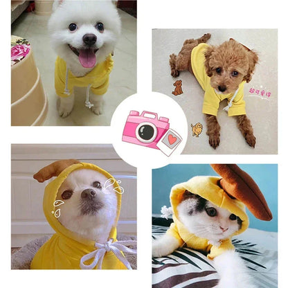 Cute Fruit Pet Clothes