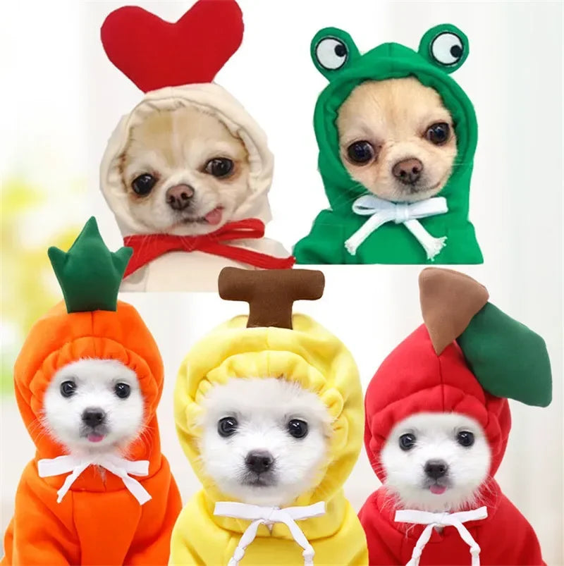 Cute Fruit Pet Clothes