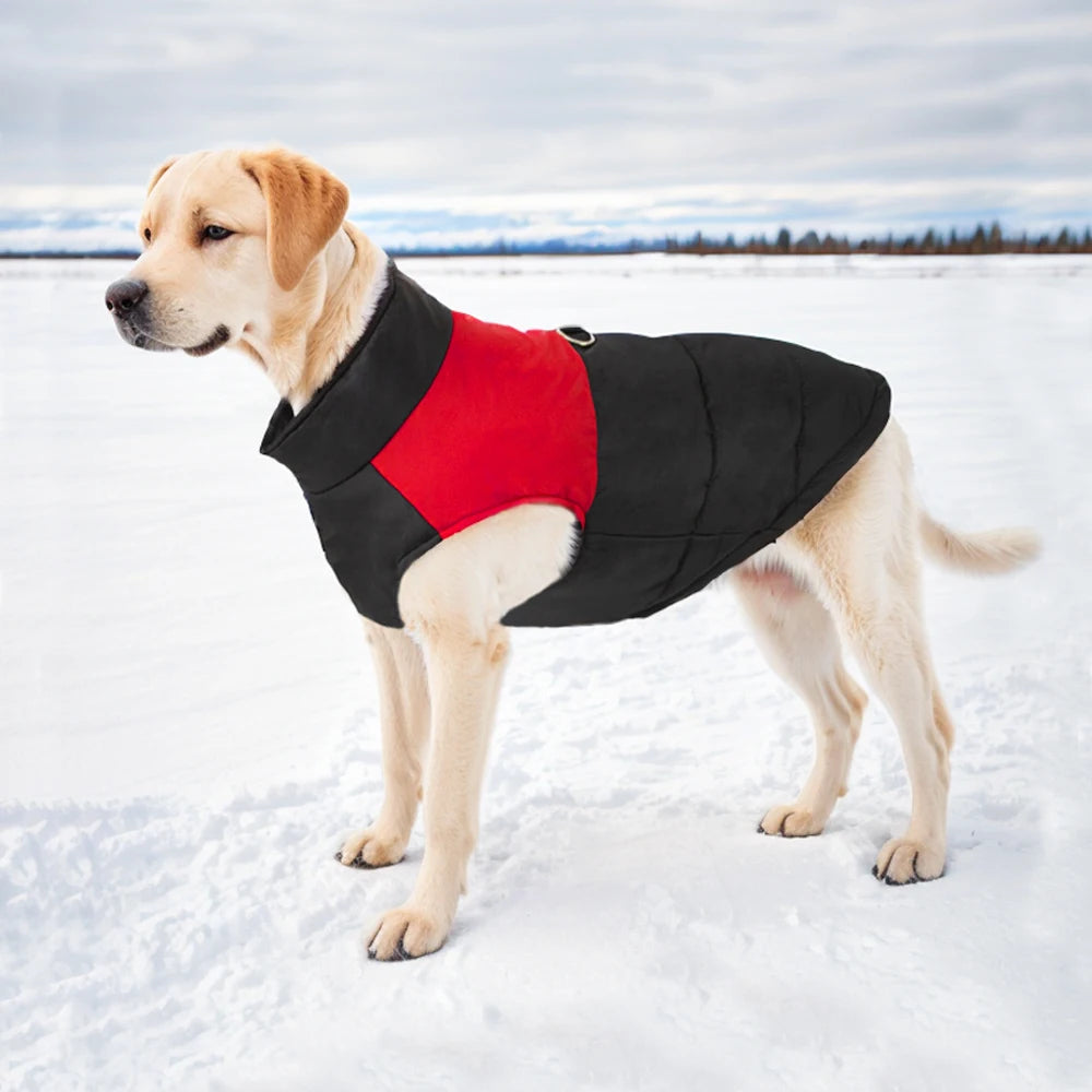 Waterproof Reflective Jacket For Small Large Dogs