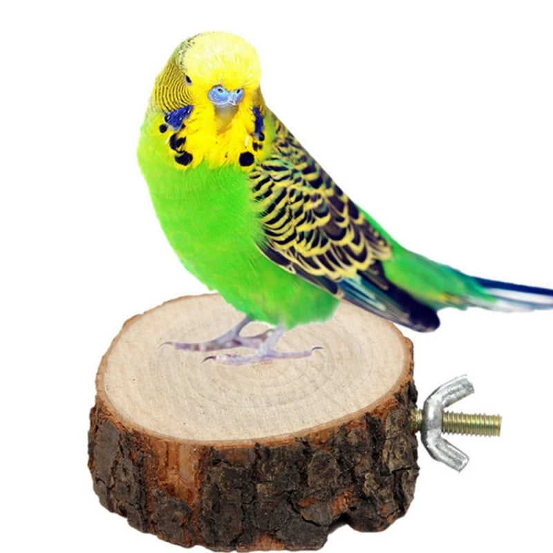 Round Wooden Squirrel Parrot Bird Perch Stand Platform Pet Bird Squirrel Chinchilla Parrot Wooden Pier Diving Platform Birds Toy