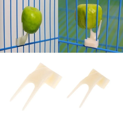 Pet Birds Parrots Fruit Fork