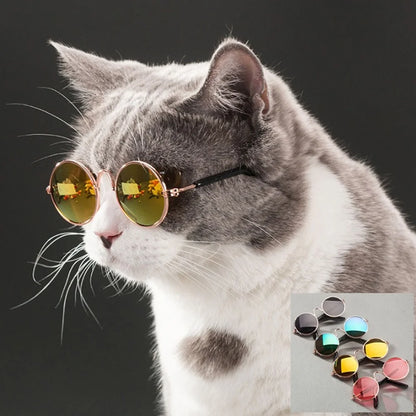 Pet Cat Dog Glasses Pet Products