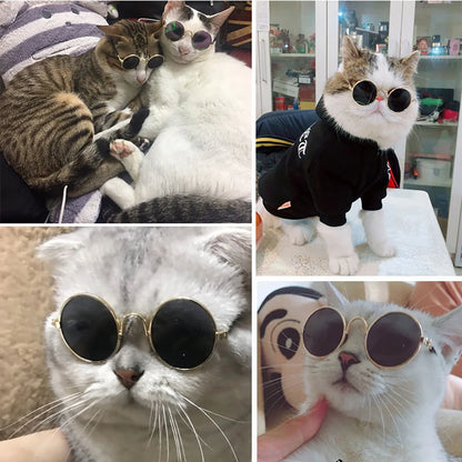 Pet Cat Dog Glasses Pet Products