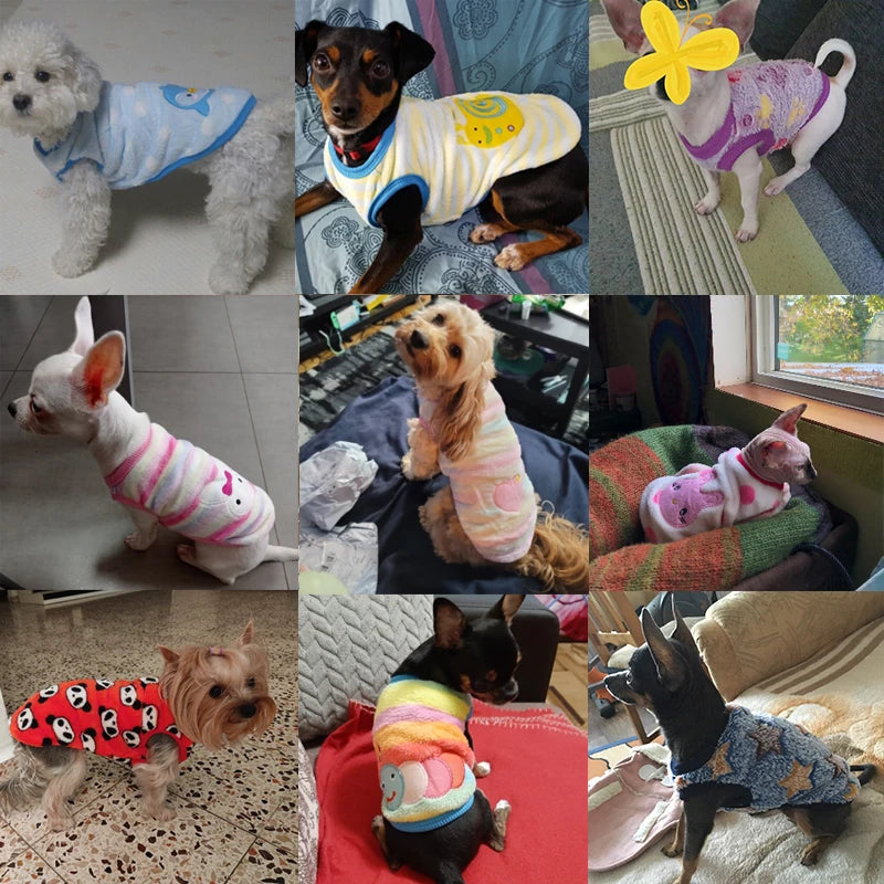 Soft Fleece Pet Dog Clothes For Small Dogs Cats Coats Jackets Vest Winter Warm Cute Pet Clothing For Dog Clothes Sweater Costume