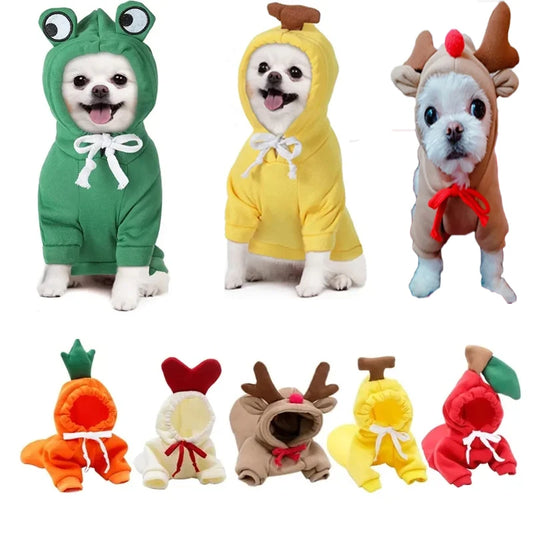 Cute Fruit Pet Clothes