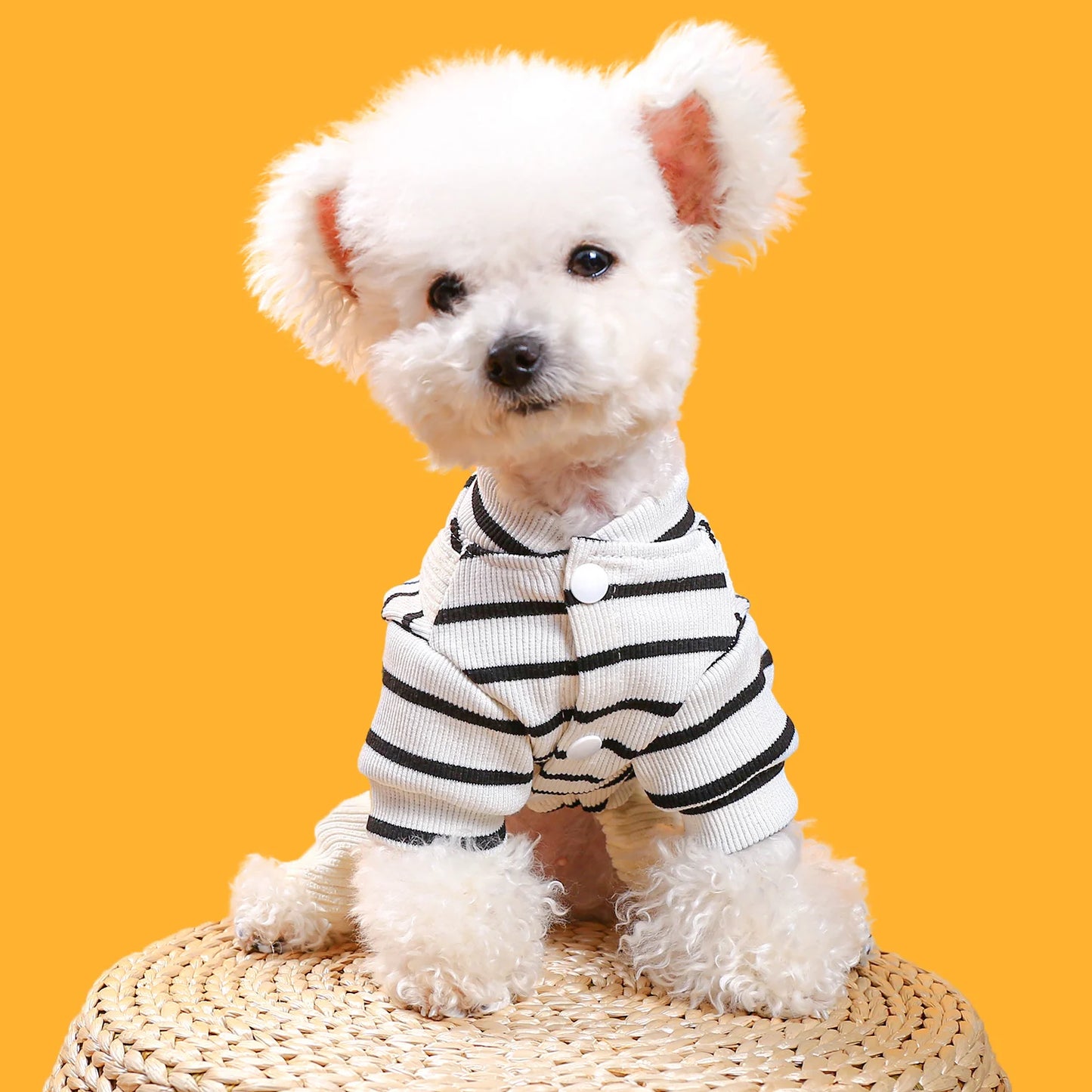 Pet Clothing Dog Thickened Warm Stripe