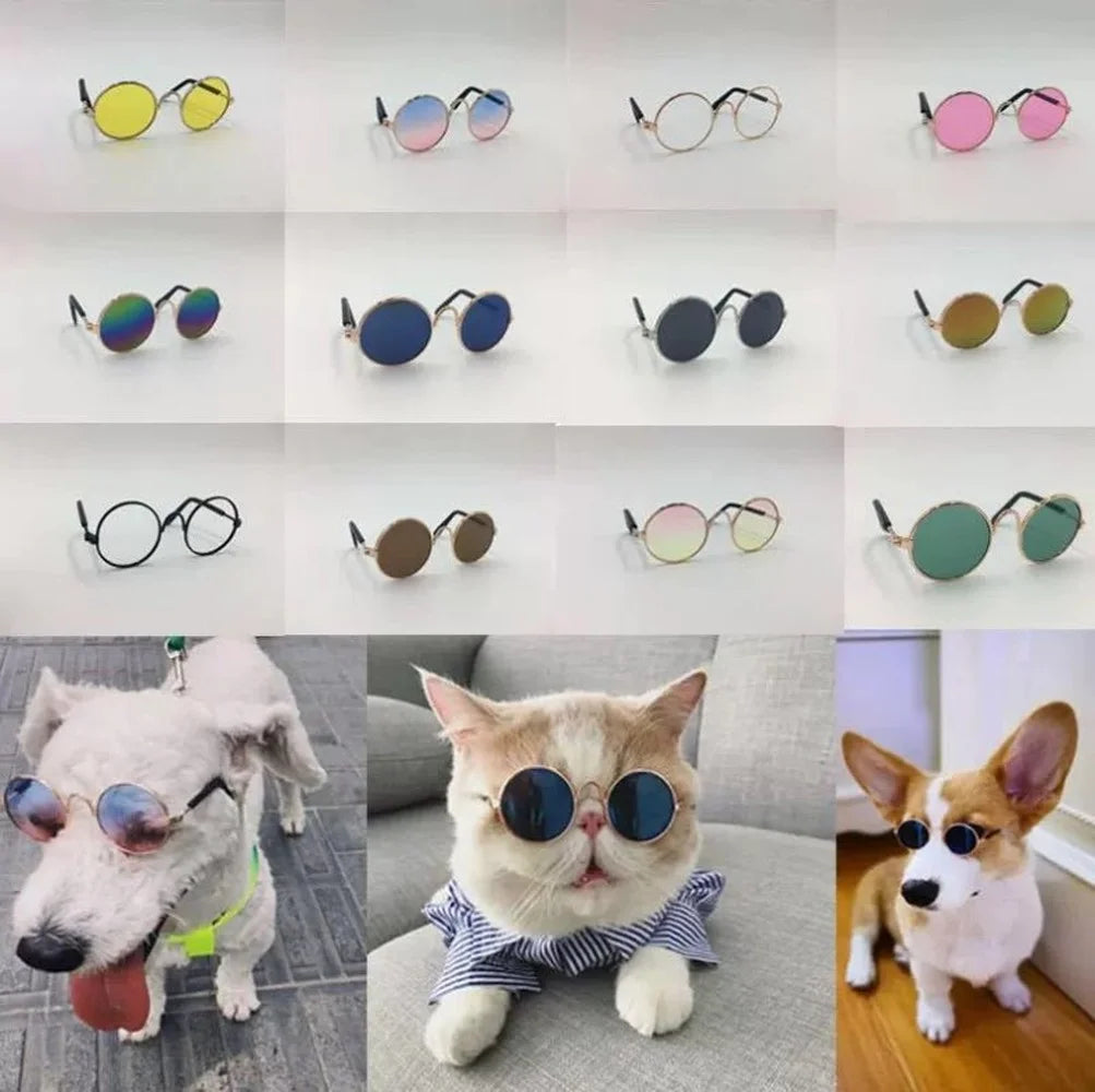 Pet Cat Dog Glasses Pet Products