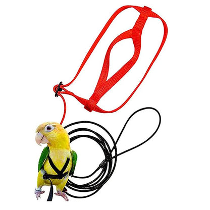 Training Flying Traction Rope Anti-Bite Training Rope Bird Leash Parrot Flying Rope Parrot Harness Bird Harness Leash