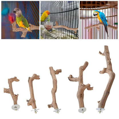 Suction Cup Wood Perch Toy Wall Travel Cage Stick Parrot Perch Stand for Budgie Small Medium Birds Lovebird Bluebirds Parakeet