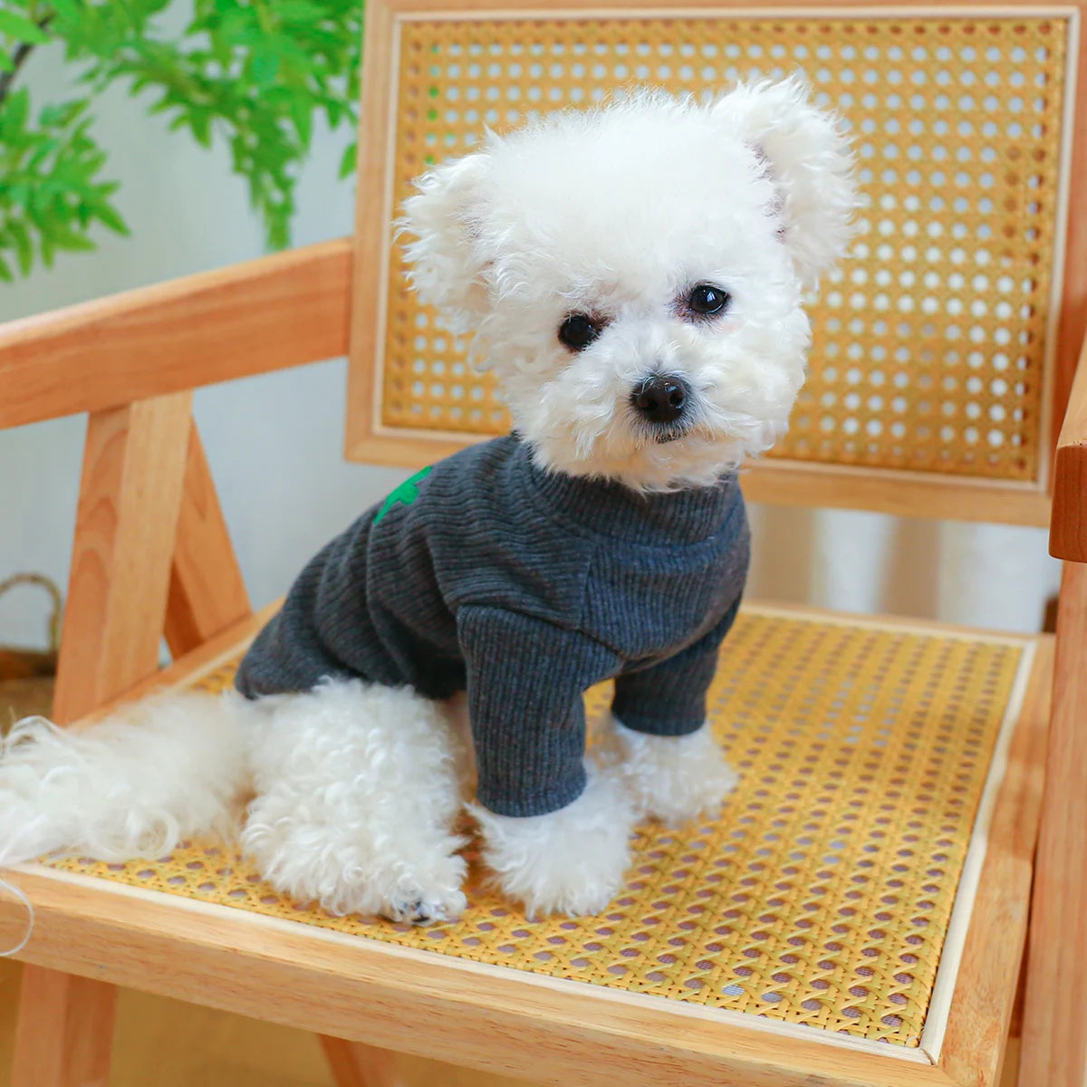 Pet Clothing Dog Bottom Pullover