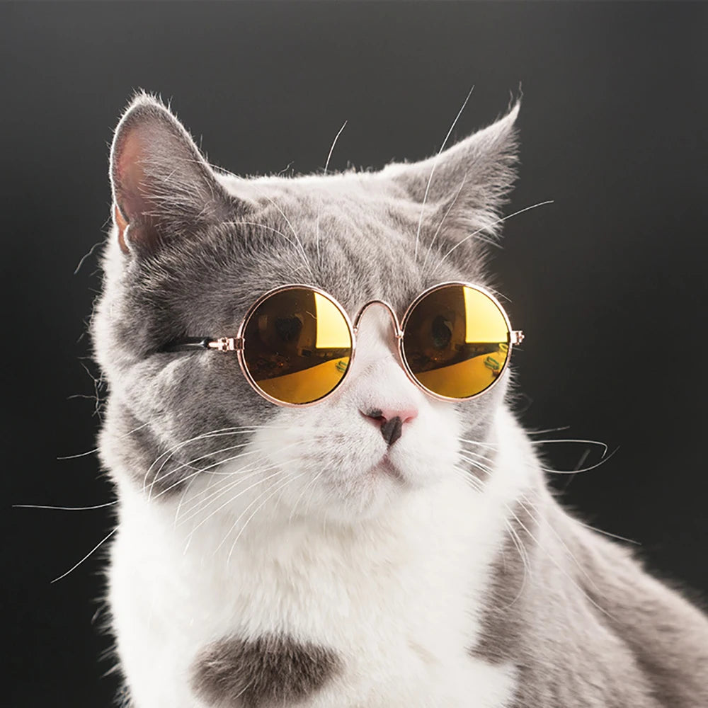 Pet Cat Dog Glasses Pet Products