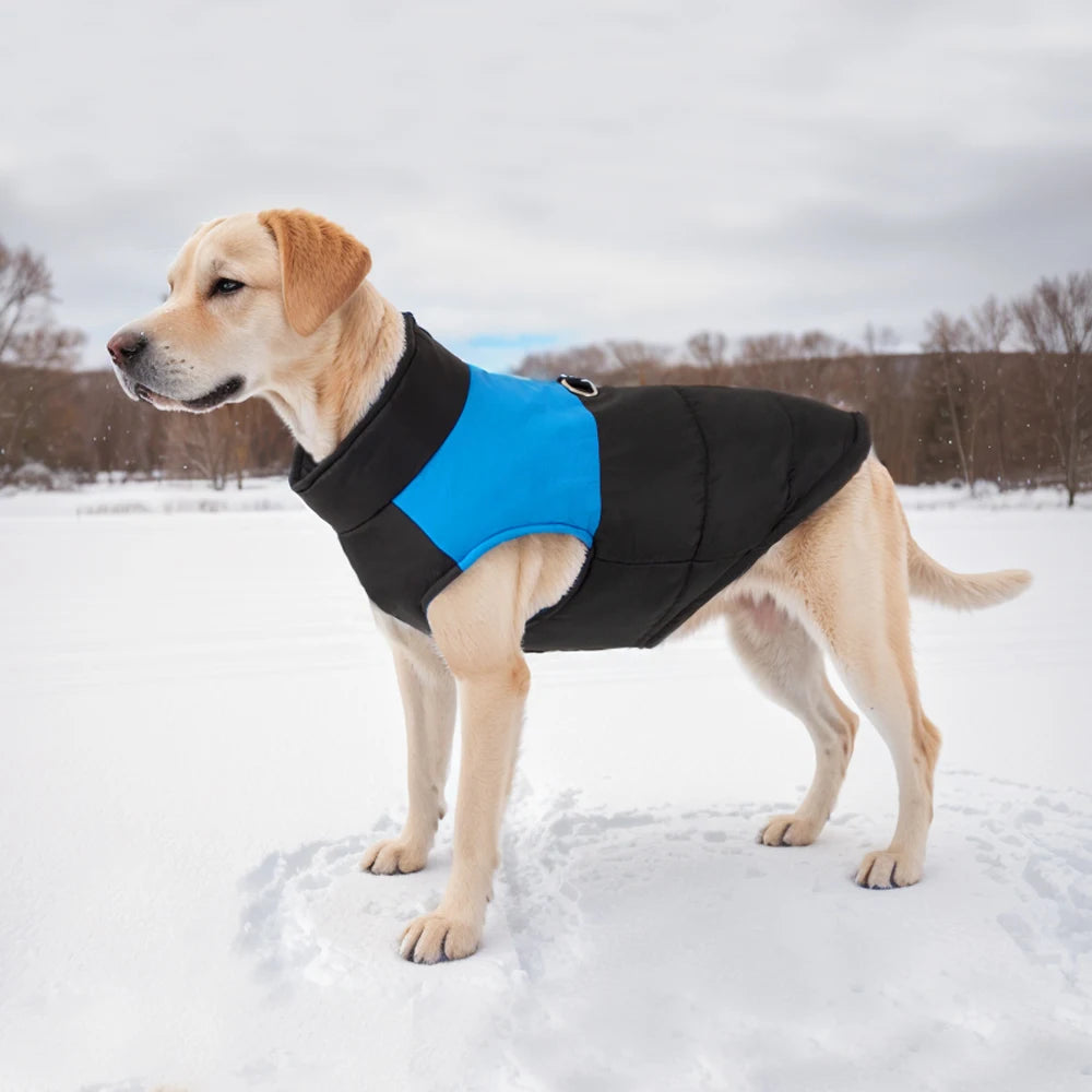 Waterproof Reflective Jacket For Small Large Dogs