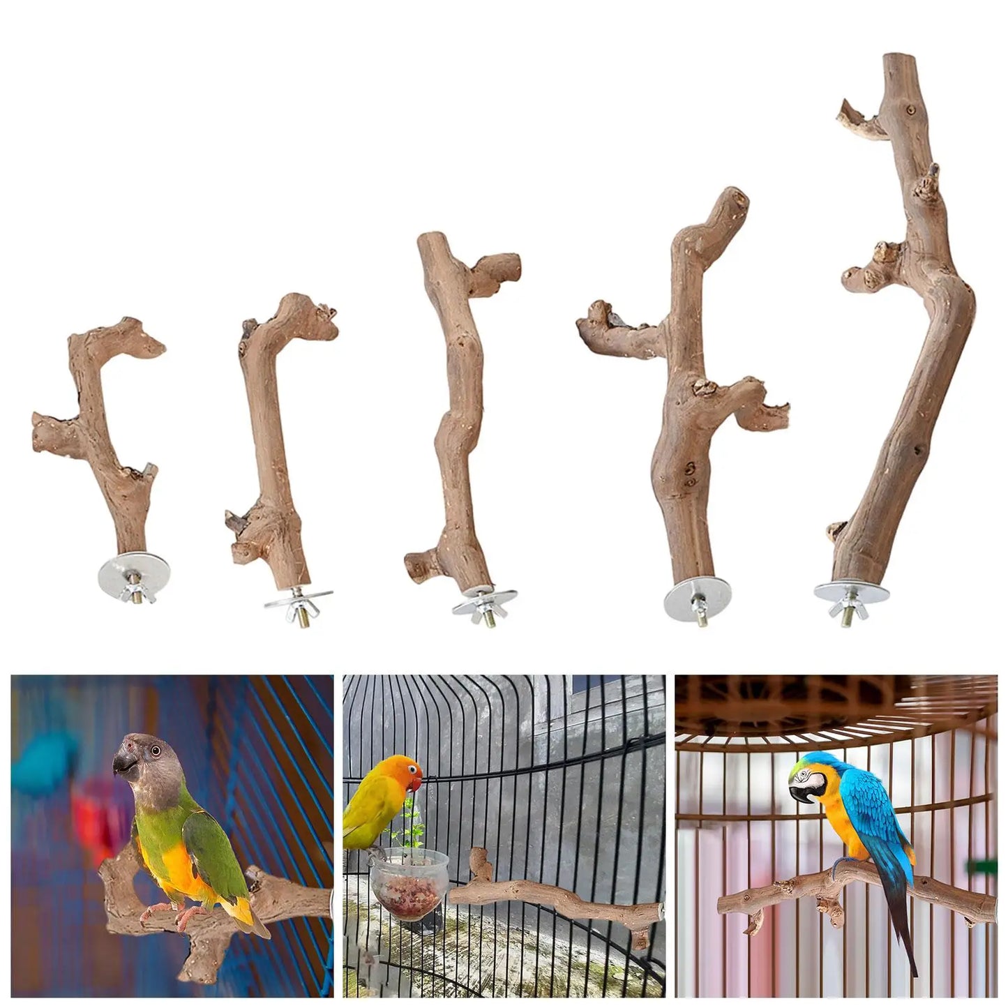 Suction Cup Wood Perch Toy Wall Travel Cage Stick Parrot Perch Stand for Budgie Small Medium Birds Lovebird Bluebirds Parakeet