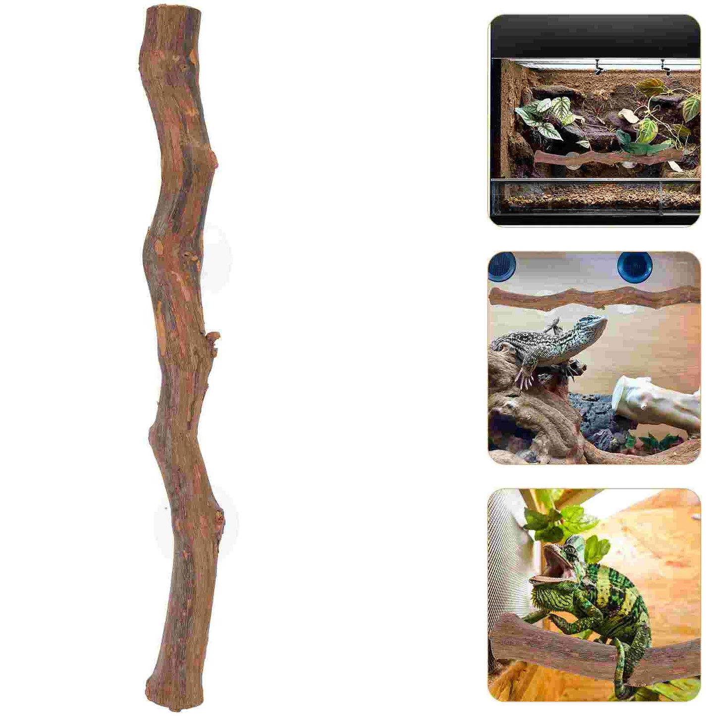 Bearded Dragon Accessory Wooden Tree Branch Reptile Tree Branch Lizard Reptile Toy DIY Craft Party Decoration