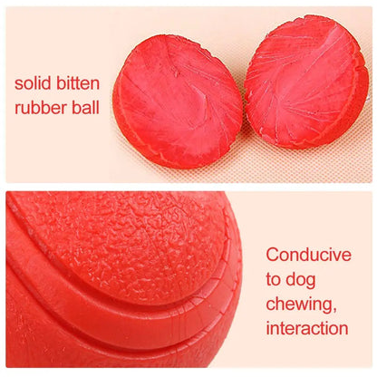 Pet Toy Rubber Ball Bite