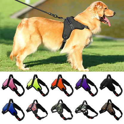 Pet Dog and Cat Adjustable Harness