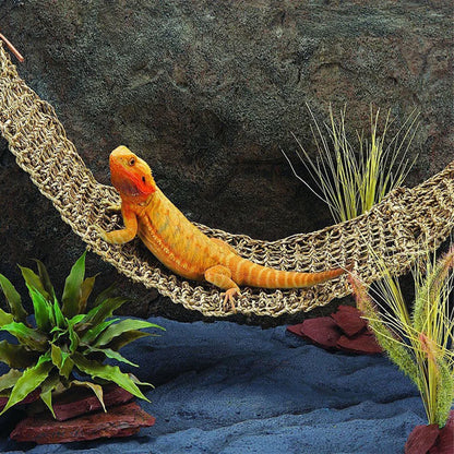 2 Pcs Toy Animal Climbing Pet Hammock Bearded Dragons Hammocks Lizards Reptile Accessories 7500X1700X150CM Grey