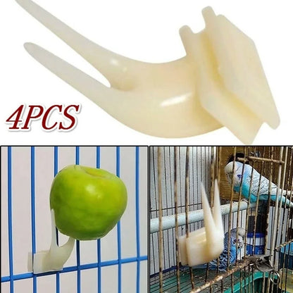 Pet Birds Parrots Fruit Fork