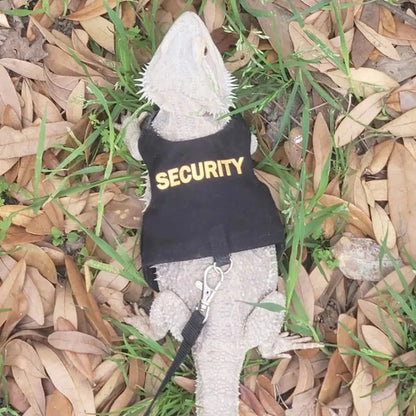 Reptile Lizard Gecko Bearded Dragon Harness and Leash Comfortable Bearded Dragon Clothes for Outdoor Pet Chameleon Supplies